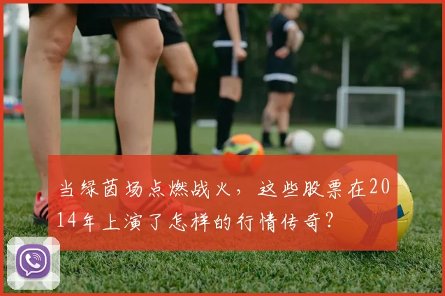 当绿茵场点燃战火,这些股票在2014年上演了怎样的行情传奇?