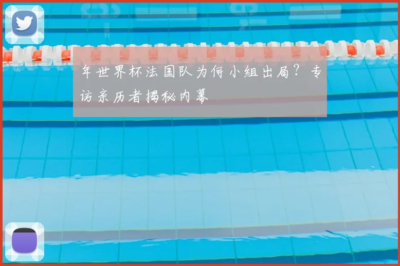 年世界杯法国队为何小组出局？专访亲历者揭秘内幕