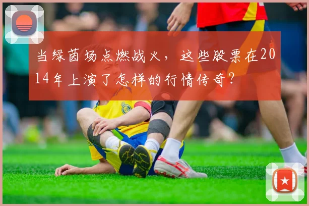 当绿茵场点燃战火,这些股票在2014年上演了怎样的行情传奇?