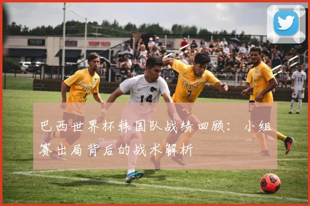 巴西世界杯韩国队战绩回顾:小组赛出局背后的战术解析