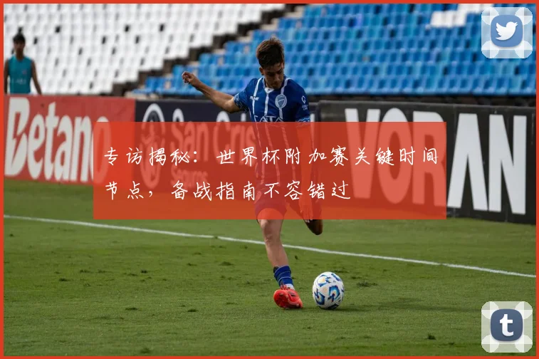 专访揭秘：世界杯附加赛关键时间节点，备战指南不容错过