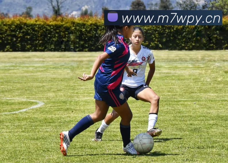 米兰体育官网直接进入APP 体育赛事宣传图